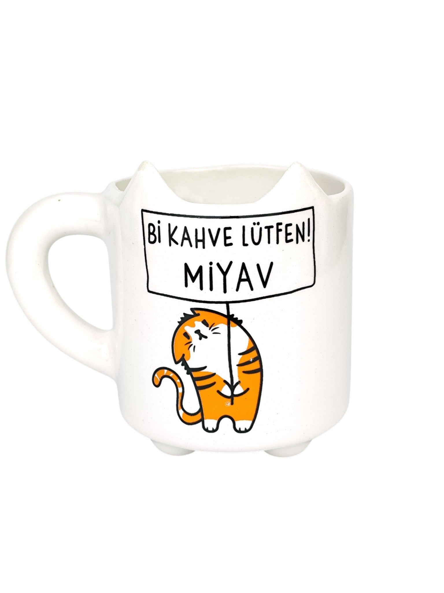 Miyav Kupa 05